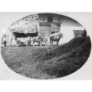 Massieu, hameau de Champe vers 1920