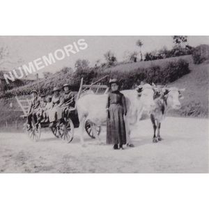 Coublevie : transports d'enfants en 1916 &agrave; Voissant 