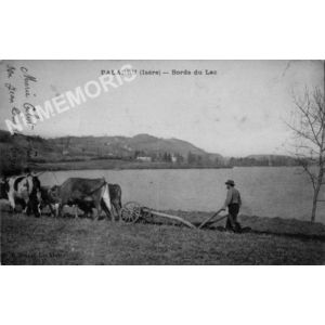 Paladru (Isère) Bords du lac