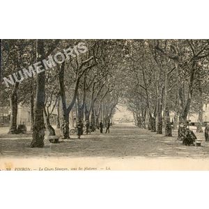 039 Voiron le cours S&eacute;nozan sous les platanes LL