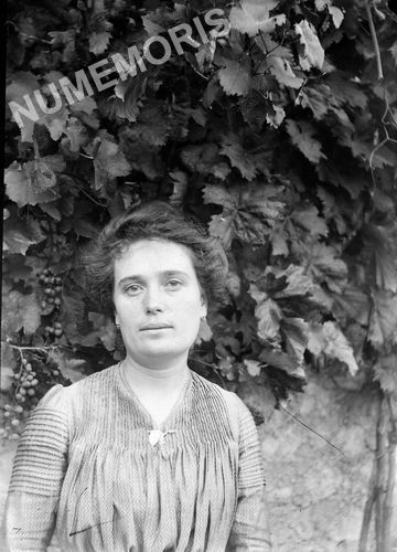 Voreppe : portrait