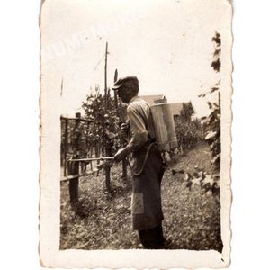 Coublevie : sulfatage des vignes en 1947