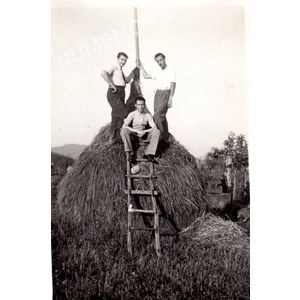 Coublevie : foins en 1934