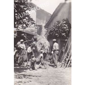 la batteuse &agrave; Charn&egrave;cles dans les ann&eacute;es 50-60 (05)