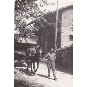 la batteuse &agrave; Charn&egrave;cles dans les ann&eacute;es 50-60 (02)