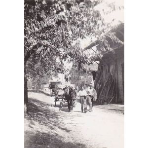 la batteuse &agrave; Charn&egrave;cles dans les ann&eacute;es 50-60 (01)