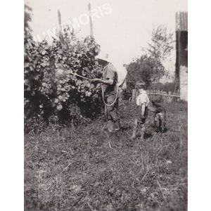 Charn&egrave;cles : sulfatage de la vigne