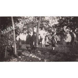 vendanges &agrave; Charn&egrave;cles