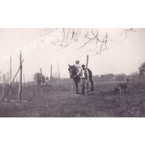 Vignes de Charn&egrave;cles