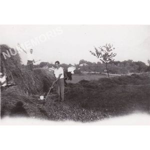 les foins &agrave; Charn&egrave;cles