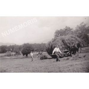 les foins &agrave; Charn&egrave;cles