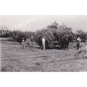 les foins &agrave; Charn&egrave;cles