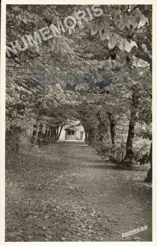Chartreuse de Beauregard par Voiron- All&eacute;e des Charmilles