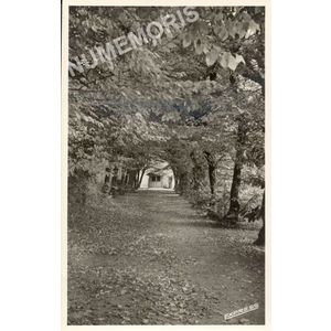 Chartreuse de Beauregard par Voiron- All&eacute;e des Charmilles