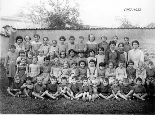 Le Pin &eacute;coles