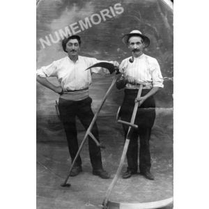 le Pin photographie de professionnel : les faucheurs