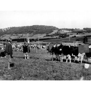 le Pin : comice agricole