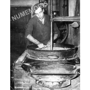 le Pin : pressoir pour l'huile de noix