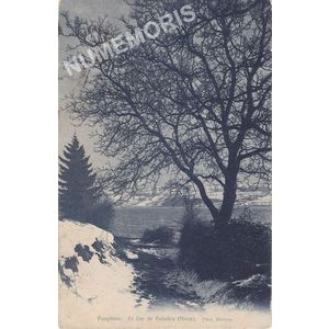 Dauphiné le lac de Paladru (hiver)