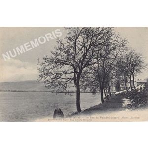 Dauphiné le lac de Paladru (hiver)