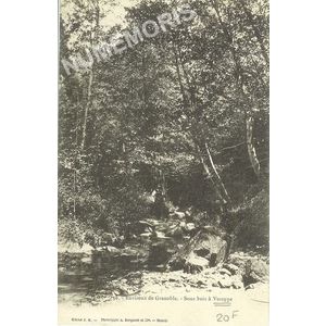 058 Environs de Grenoble, sous bois &agrave; Voreppe