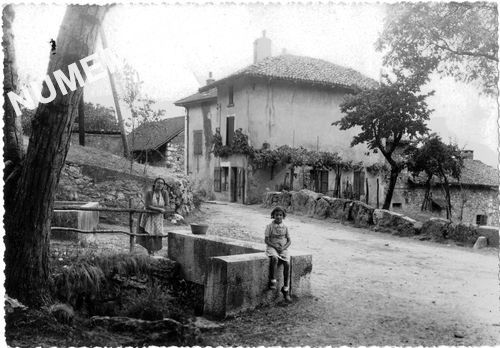 Pommiers la Placette divers
