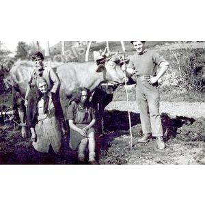 Pommiers la Placette : ses habitants pendant seconde guerre