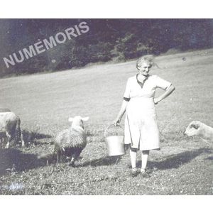 Pommiers la Placette : ses habitants