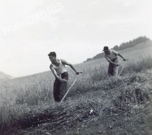 la Sure en Chartreuse