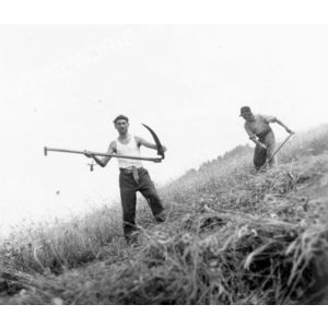 Pommiers la Placette : les foins en 1946