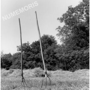 Pommiers la Placette : les fourches