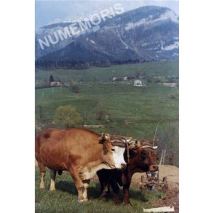 Pommiers la Placette : labours