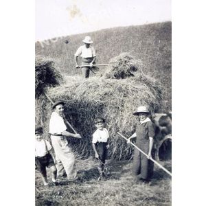 Pommiers la Placette : le char &agrave; foin en 1940