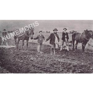 la B&acirc;tie-Divisin : labour avec un cheval 