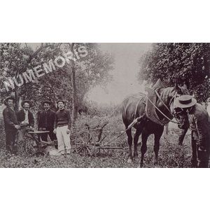 la B&acirc;tie-Divisin : labour avec un cheval