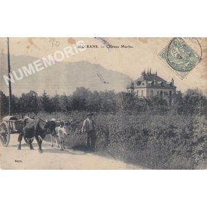 Moirans ch&acirc;teau Martin