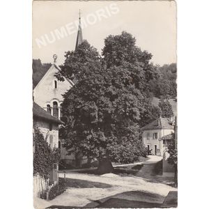 Saint-Aupre le tilleul datant de Sully