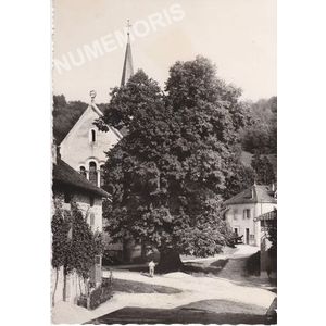 Saint-Aupr&eacute; (Is&egrave;re) le tilleul datant de Sully