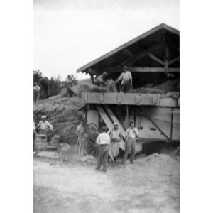 le Pin : la batteuse ?