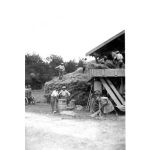 le Pin : la batteuse ?