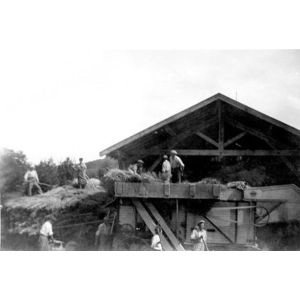 le Pin : la batteuse ?