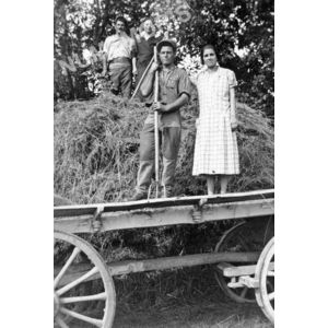 le Pin : char &agrave; foin