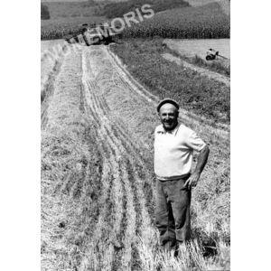 le Pin : moisson m&eacute;canique