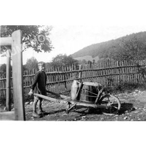 le Pin : le gar&ccedil;on et la brouette