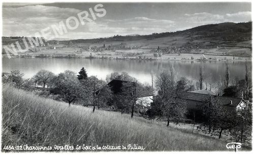 Le Pin cartes postales