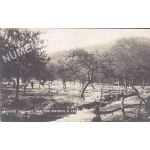 prairies envahies par les pierres et les eaux