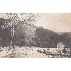 prairies d&eacute;vast&eacute;es &agrave; Thiers