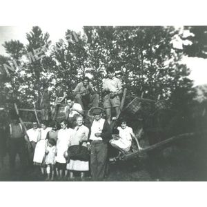 cerises &agrave; Moirans