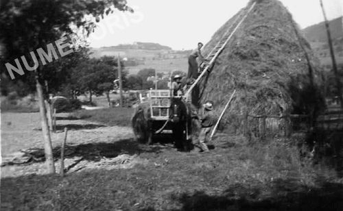 Chirens pp agriculture