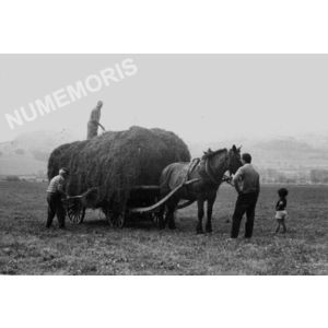 Chirens : char de foin en 1970